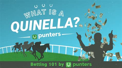 what is a quinella box.